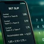 22 bet winning calculation